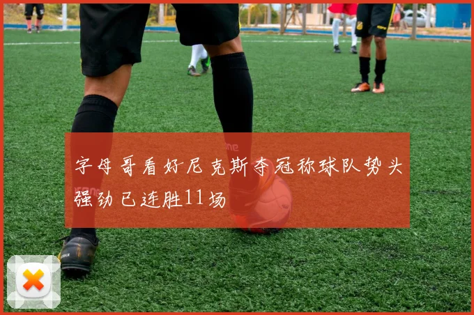 字母哥看好尼克斯夺冠称球队势头强劲已连胜11场